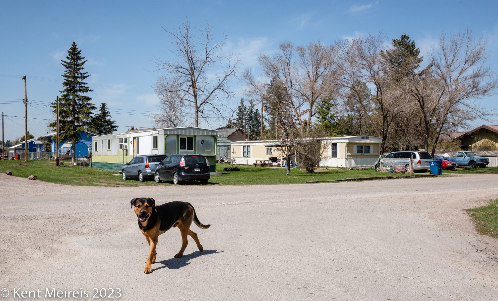 Arlee Spay and Neuter Clinic